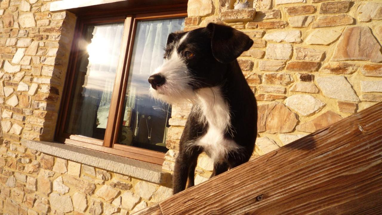 Casa Bella Vista Daire Villar San Costanzo Dış mekan fotoğraf
