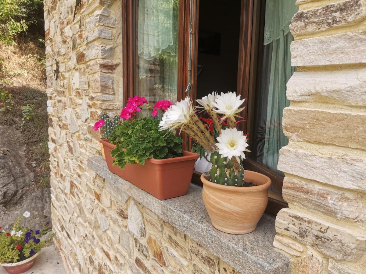Casa Bella Vista Daire Villar San Costanzo Dış mekan fotoğraf